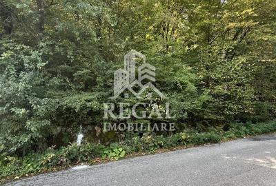 Teren extravilan de 730 mp, în Central - 6