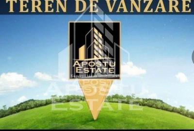 Teren intravilan,Puz Aprobat in Ghiroda 3300 mp. - 1