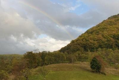 Teren intravilan de 8500 mp, în Hărțăgani - 1