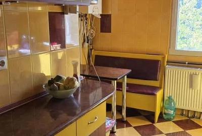 Apartament cu 3 camere decomandat în Valea Ialomiței - 6