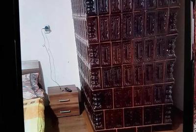 Casa locuibila de vanzare in Mailat - 10