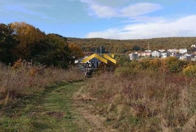 Spațiu comercial, în Europa