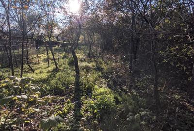 Casă de vânzare, 800 mp teren, Dâmbu Rotund aproape de Dedeman și de gară Casă de vânzare, 800 mp teren, Dâmbu Rotund aproape de Dedeman și de gară - 12