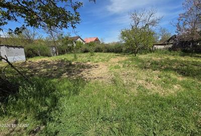 Teren Construcții intravilan de 1198 mp, în Valu lui Traian - 10