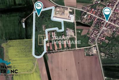 Teren Construcții intravilan de 5 mp, în Zăbrani - 3