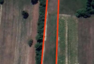 Teren în Dumbrăvița - 2