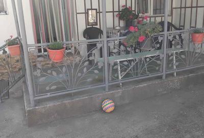 Casă cu 4 camere în Macea - 4