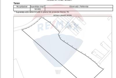 Teren de 50000 mp, în Rafov - 3