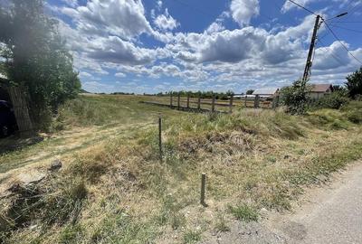 Teren de 5800 mp, în Satu Nou (Lipănești)