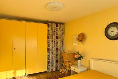 Apartament cu 2 camere semidecomandat în Podu Roș - 10