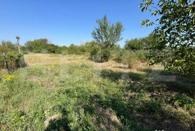 Teren de 2000 mp, în Central - 2