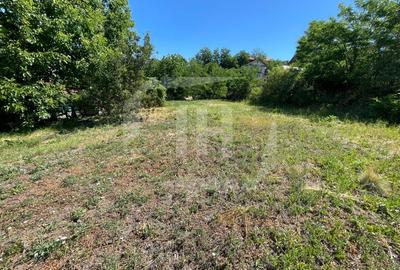 Teren intravilan, suprafata utila2460 mp, Cojocna - 6