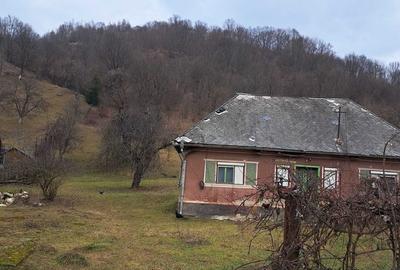 Casă cu 3 camere în Rohia - 1