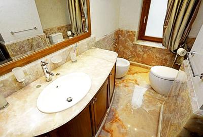 Apartament cu 3 camere semidecomandat, mobilat în P-ța Victoriei - 16