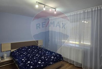 Casa de Vis la Macea - Complet Renovata si Gata de Locuit! - 17