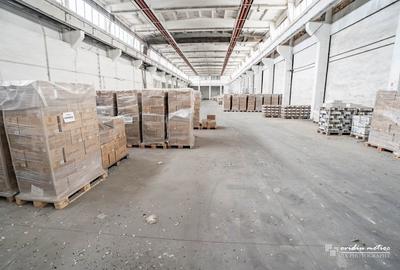 Module de hala in Turda, 500, 1000, 3000, 5000, 9000 mp - 3