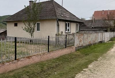 Casă cu 3 camere în Podișu - 1