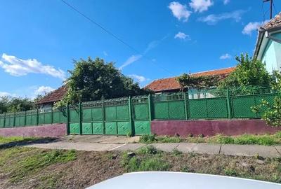 Casă cu 6 camere cu Teren 4200 Mp în Craiva - 10