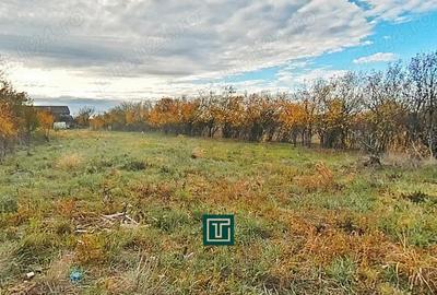 Teren de 1199 mp, în Aluniș - 2