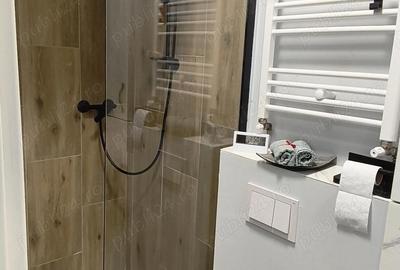 Garsonieră decomandată în Central - 1