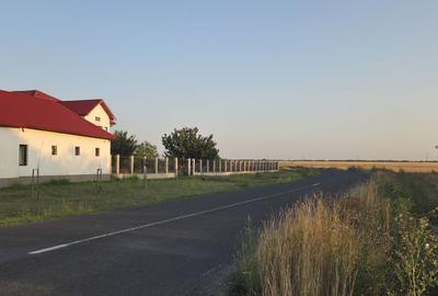 Teren intravilan în localitatea Berini - 11