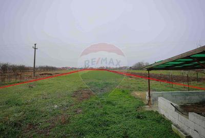 Casă cu 3 camere cu Teren 3474 Mp în Sânnicolau Român - 4