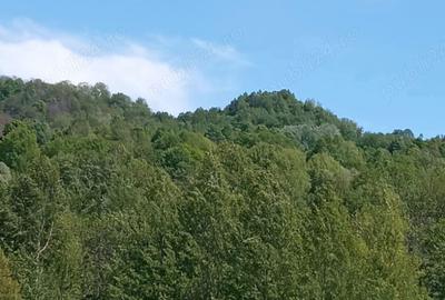 Casă cu 5 camere în Vistieru - 2