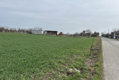 Spațiu comercial, în Nuci - 5