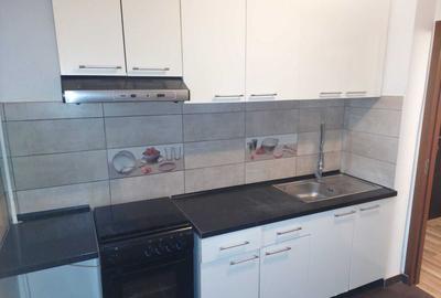 Apartament 2 camere Nicolina str. Egalitatii-nemobilat - 2