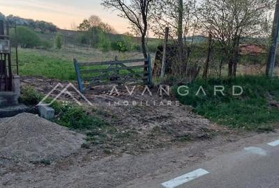 Teren intravilan 1800 mp – Șutu, comuna Ciurila - 4