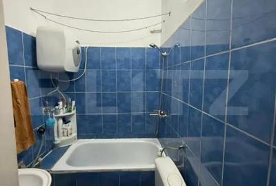 Garsonieră în Lotrului