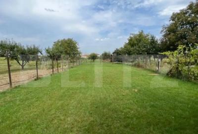 Casă cu 2 camere cu Teren 2000 Mp în Central - 2