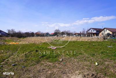 Spațiu comercial, în Lumina - 8