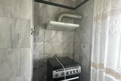 Apartament cu 3 camere decomandat în Paltiniș - 3