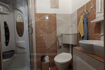 Grigorescu, casa 8 camere, 8 bai, 2 bucatarii, 1123mp curte - 20