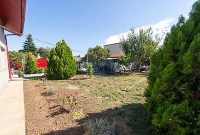 Casa de vanzare 860 mp teren Sos Alexandria - 17