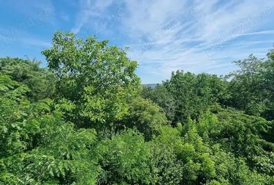 Vand vila situata in Pitesti, impartita in 8 apartamente - 2