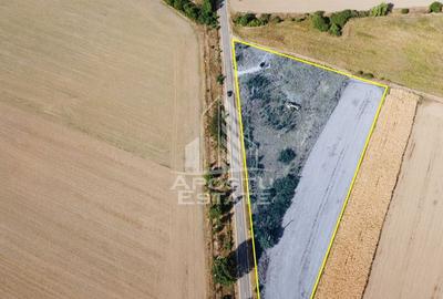 Teren Servicii, Sport si Agrement, 11200 mp,  langa centura Sag - 2