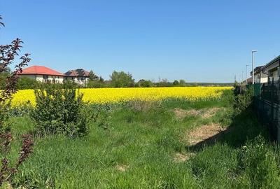 Teren intravilan 26.300 mp Saftica Balotesti - PUZ în lucru - 16
