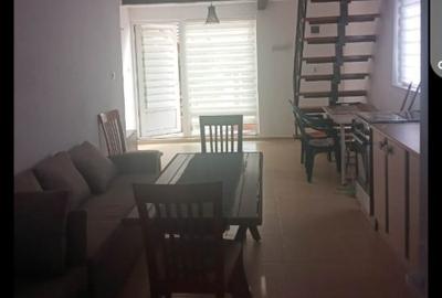 Casă de vacanță de vinzare Rusu Bargaului - 3