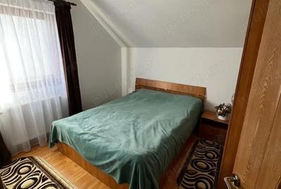 Casă cu Teren 503 Mp în Sadu - 1