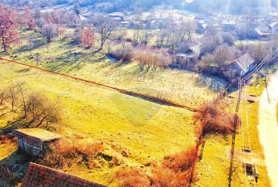 Casă individuală cu 4 camere cu Teren 10486 Mp în Ierșnic - 3