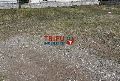 Spațiu Industrial în Alba Iulia de închiriat - 6
