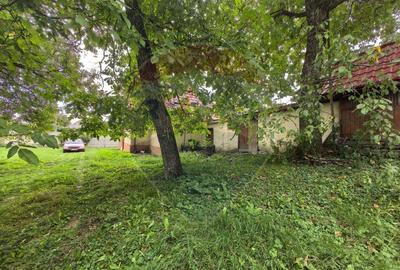 Casa traditionala De Vanzare cu 5 Hectare de teren - 6