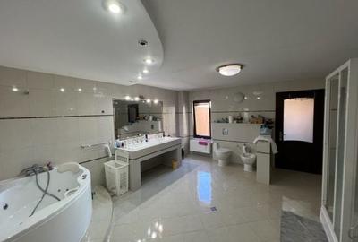 Casa moderna P+1E+M Lugoj 511mp - 19