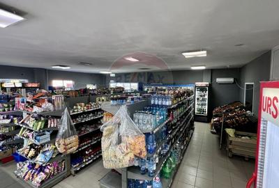 Spatiu comercial de vanzare / Afacere la cheie - sat Smardan, Galati - 5
