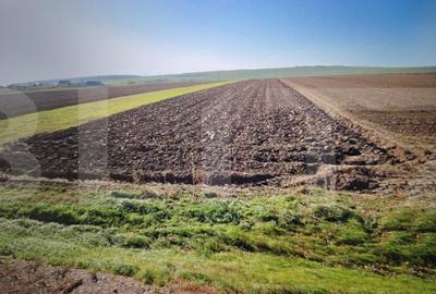 Teren de 15500 mp, în Brăești