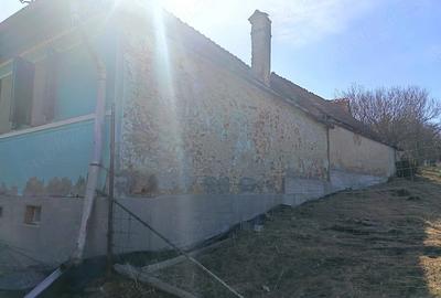 Casă cu Teren 1565 Mp în Sângătin - 3