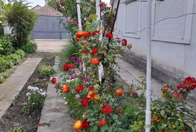 Casă cu Teren 1132 Mp în Central - 3