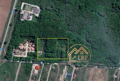 Dragomiresti Vale-Padure-teren intravilan, certificat urbanism 2025 - 10